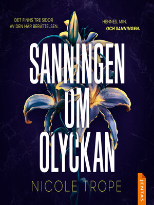 cover image of Sanningen om olyckan